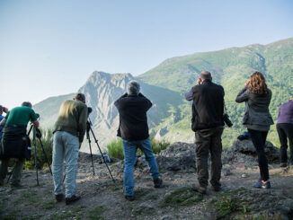 España es líder europeo en espacios protegidos, biodiversidad y recuperación de especies en peligro