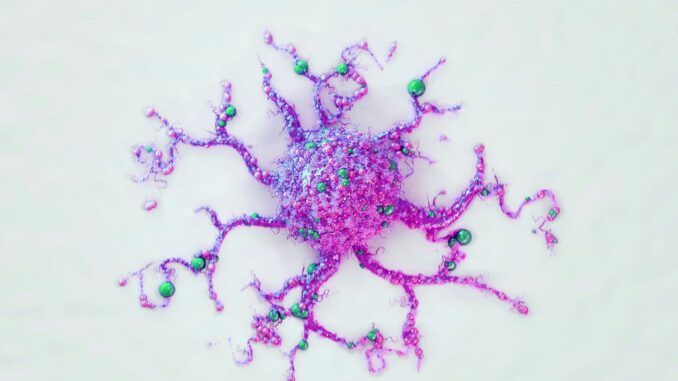 Un cangrejo de mil caras llamado cáncer